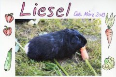 Liesel
