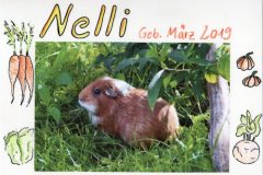 Nelli