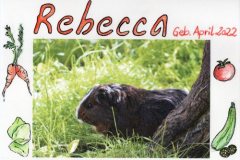 Rebecca