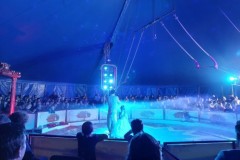 20260418_120551_MEDIUM
